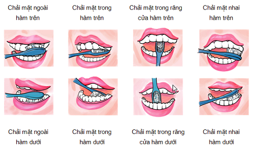 Lựa chọn bàn chải và kem đánh răng phù hợp