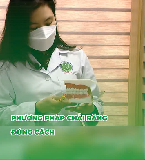 PHƯƠNG PHÁP CHẢI RĂNG ĐÚNG CÁCH